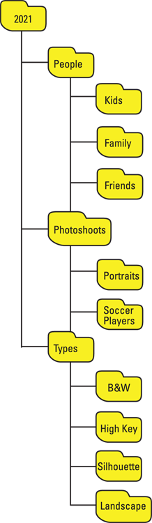 Schematic illustration of organizing photos and media in folders and subfolders on your hard drive.