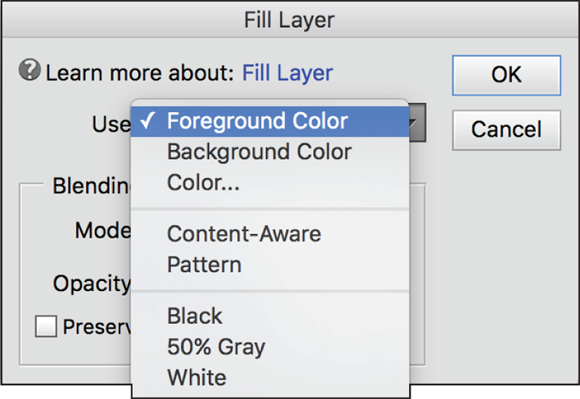 Snapshot of filling the selection or layer with color or a pattern.