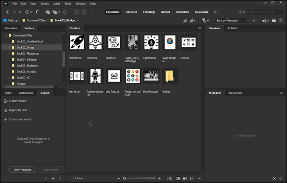 Snapshot of visually showing the contents of a folder using Adobe Bridge.