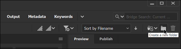 Snapshot of creating new folders right in Adobe Bridge.