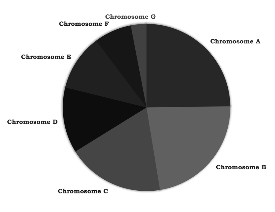 images/SelectingTheBest/Chromosome_Chart.png