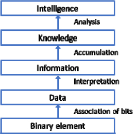 Schematic illustration of the flow from binary element to intelligence.