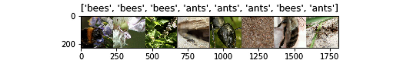 Figure 3.15 – Bees versus ants dataset