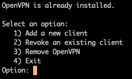 Figure 7.40 – A subsequent invocation of the VPN installer