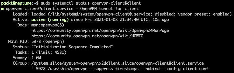 Figure 7.42 – Querying the OpenVPN client status