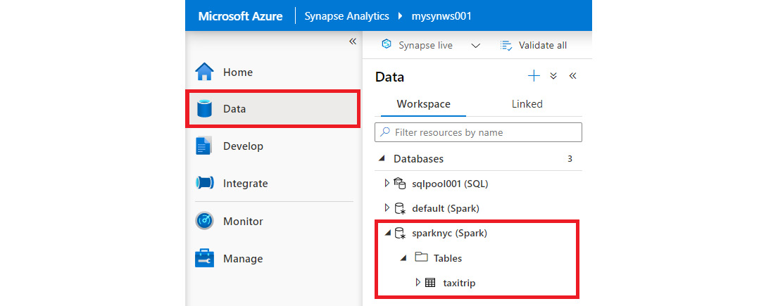 The newly created Spark database