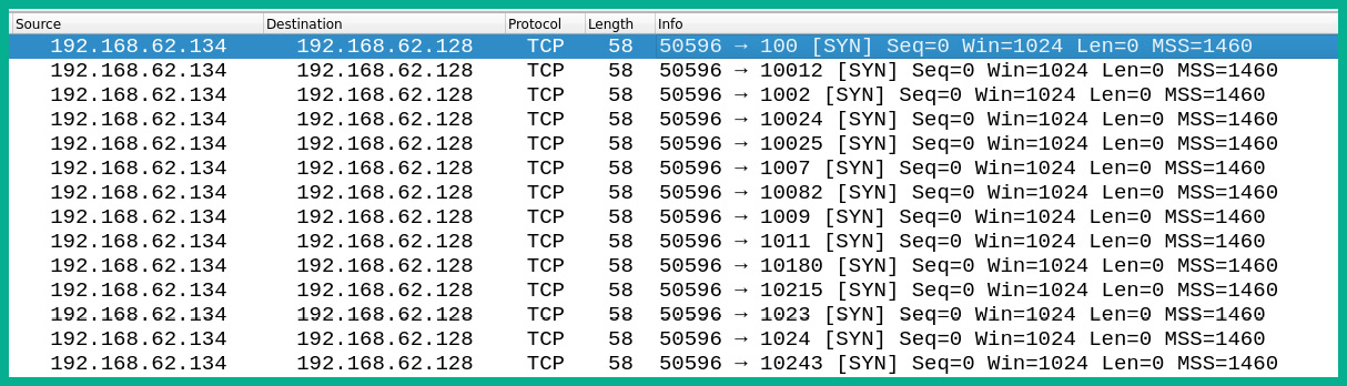 Figure 12.3 – TCP SYN scan
