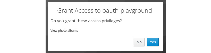 Figure 5.11 – Granting oauth-playground access to view photo albums
