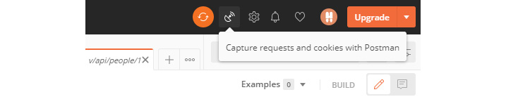 Figure 13.1 – Capture requests and cookies with Postman
