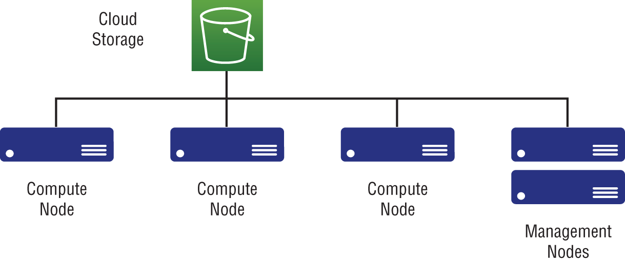 Schematic illustration of cloud-based cluster using a storage service.