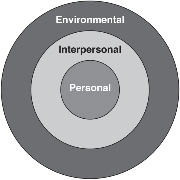 Schematic illustration of the 3 Lenses Model: Environmental, Interpersonal, and Personal.