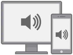 Schematic illustration of OnScreen Voice (digital).