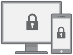 Schematic illustration of Visual authentication.