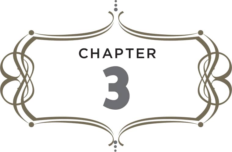 CHAPTER 3