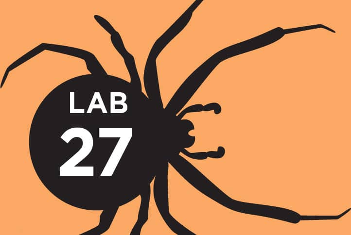 Lab 27