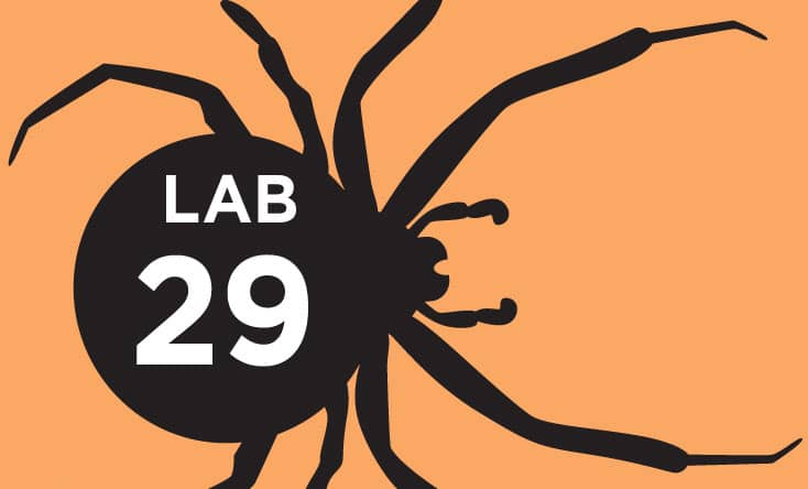 Lab 29