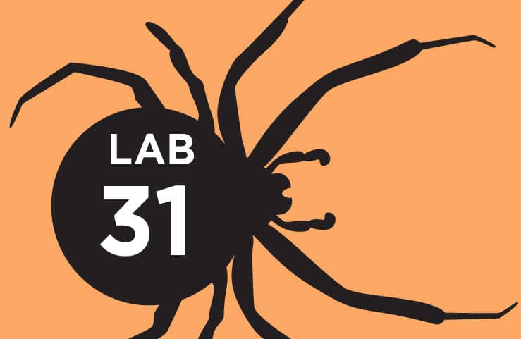 Lab 31