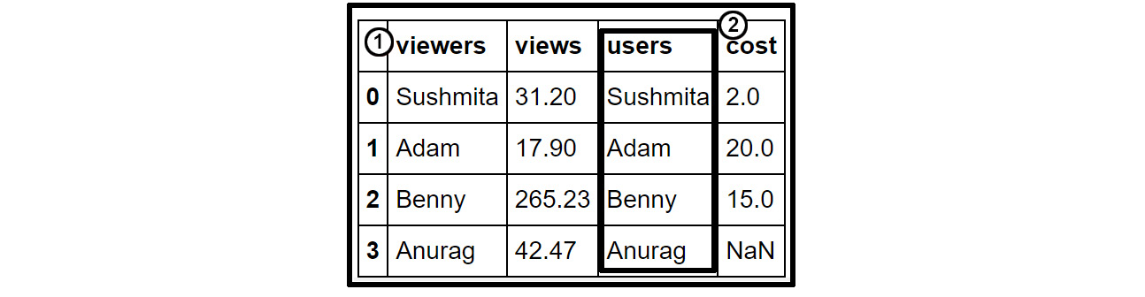 Figure 1.6: A sample pandas DataFrame and series
