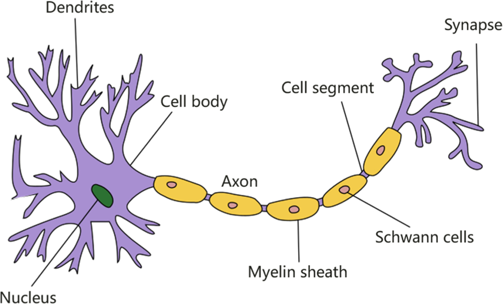 Fig. 1.4