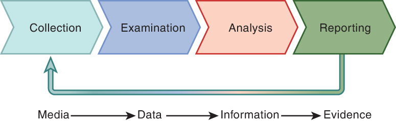 An flow chart of forensic process. Media is processed to data. Data is processed to information. Information is processed to evidence. The steps are collection, examination, analysis, and reporting.