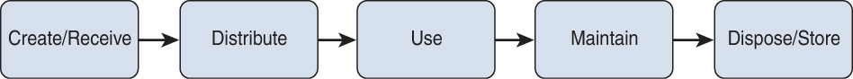 An illustration of information Life Cycle. The illustration has 5 components. Create or receive, distribute, use, maintain, and dispose or store.