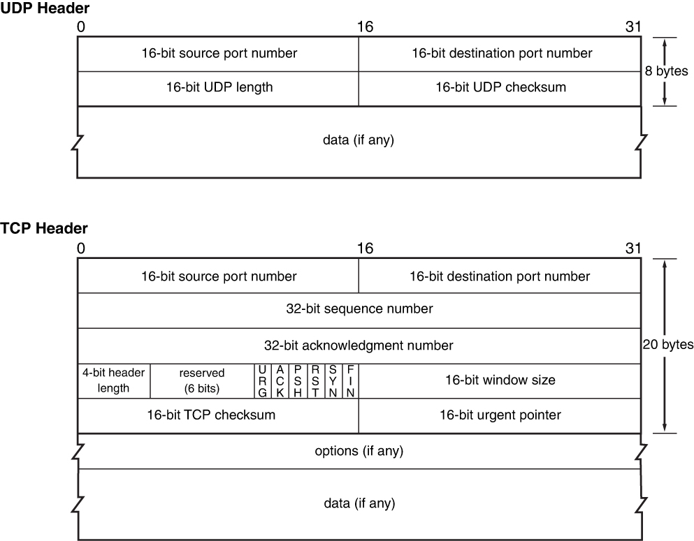 An illustration of T C P and U D P headers.