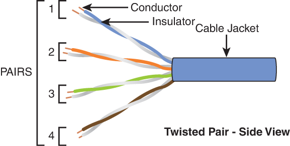 An illustration of the side view of a twisted pair cabling side view. Four pairs of wire are twisted and marked 1 to 4. Conductor and insulator are indicated in a pair of wire. Cable jacket is indicated.