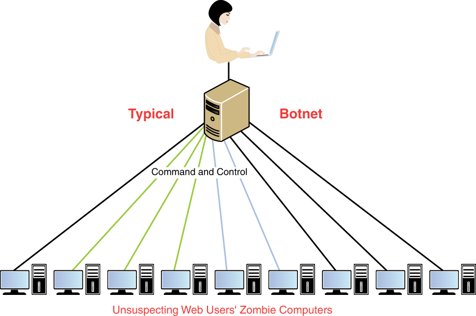 An illustration of a typical botnet. A user is connected to a typical botnet. It connects to the unsuspecting web users' zombie computers using command and control.