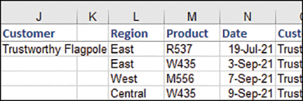 The figure shows the results of an advanced filter with a blank output range. All the columns from the original data set are copied to the output range.