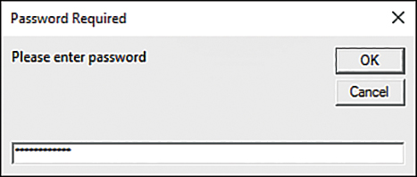 In the figure, the password has been entered in the input box, but only asterisks are visible.