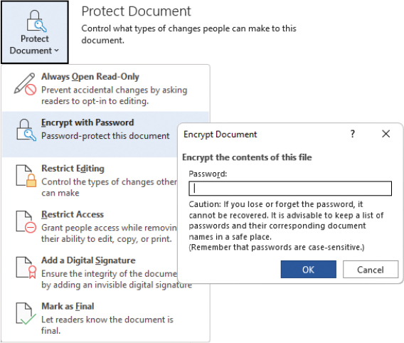 The Encrypt Document dialog above the Protect Document menu with Encrypt With Password active.