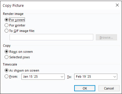 A screenshot of the Copy Picture dialog.