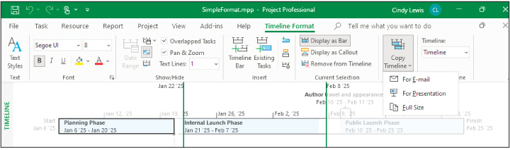 A screenshot of the Timeline view showing the Copy Timeline list.