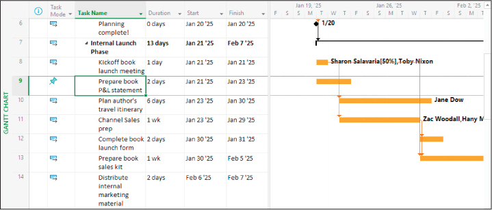 A screenshot of the Gantt Chart view showing the same formatting on all Gantt bars.