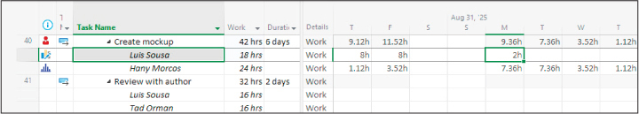 A screenshot of the Task Usage view showing a resource assignment that was manually edited.