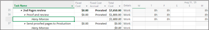 A screenshot of Task Usage view with the Cost table.