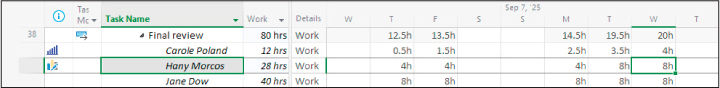 A screenshot of Task Usage view showing an indicator for a manual work contour.