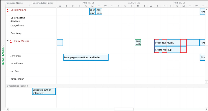 A screenshot of the Team Planner view showing resource assignments.