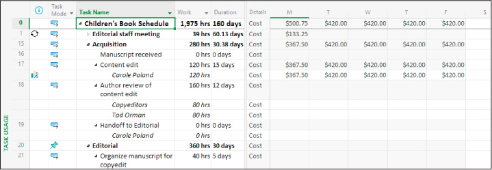 A screenshot of the Task Usage view displaying Cost in the timescaled grid.