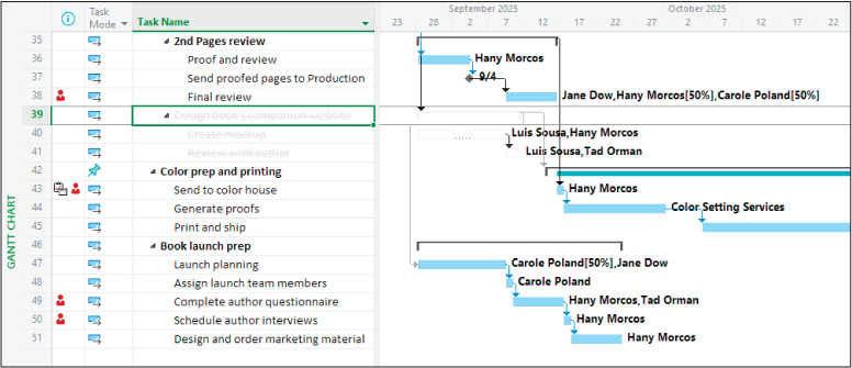 A screenshot of Gantt Chart view showing inactive tasks.