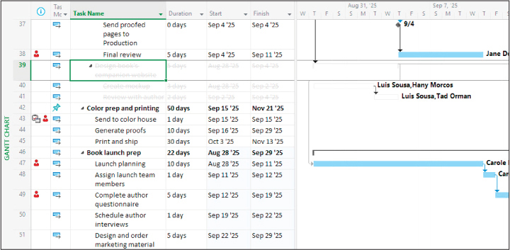 A screenshot of Gantt Chart view showing inactive tasks.