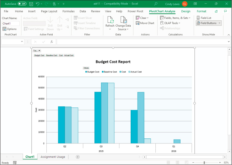 A screenshot of the Budget Cost visual report showing the Chart1 tab in Excel.