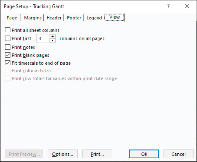 A screenshot of the Page Setup dialog with the View tab displayed.