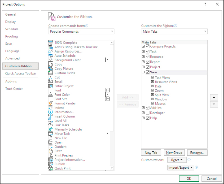 A screenshot of the Project Options dialog on the Customize Ribbon page.