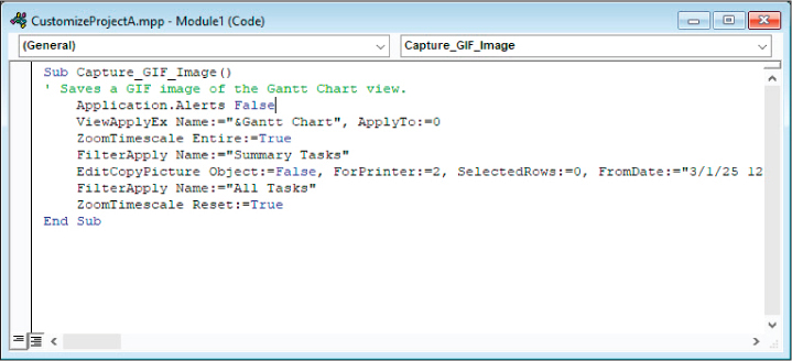 A screenshot of a module from the Microsoft Visual Basic for Applications window showing code for the new Capture_GIF_Image macro.