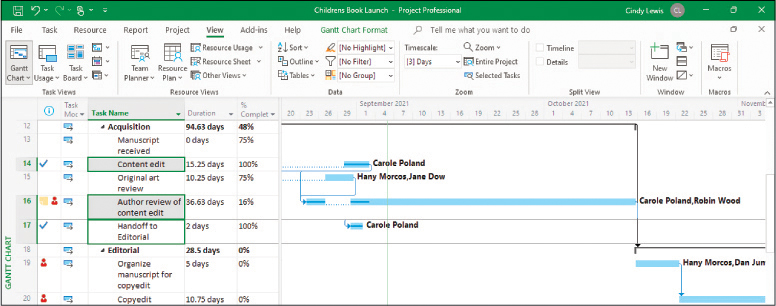 A screenshot of the Gantt Chart view in Project showing team member updates applied to tasks, which calculate percent complete.