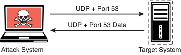An illustration shows the UDP scan. The left side has a laptop clip art with a danger symbol labeled attack system. The right side has the Target system. The flow from attack system to target system is labeled UDP + Port 53. The Flow from Target system to attack system is labeled UDP + Port 53 Data.
