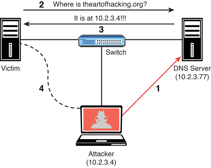 A diagram shows the DNS cache poisoning example.