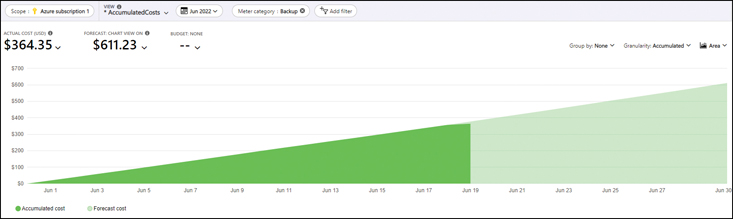 A screenshot is showing the custom view based on the Cost Analysis filters and subfilters selected in the earlier steps.