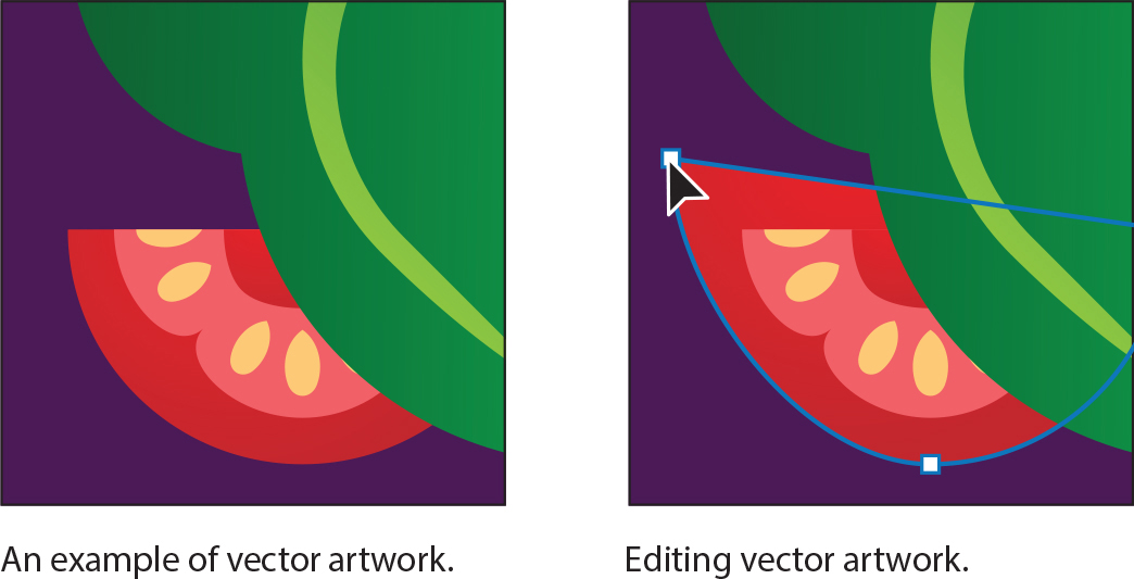 Two figures. Figure 1 shows a slice of tomato placed behind a leaf. 70 percent of the tomato slice is visible. Rest is behind the leaf. The text below the figure reads, an example of vector artwork. Figure 2 is the same as figure 1. Here the outline of the tomato slice is clearly drawn. The text below the figure reads, editing vector artwork.
